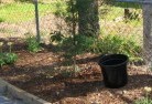 Trunkey Creekorganic-gardening-6.jpg; ?>